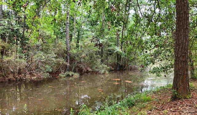 769 Bear Creek Ct, Gulf Shores AL 36542 photo 33