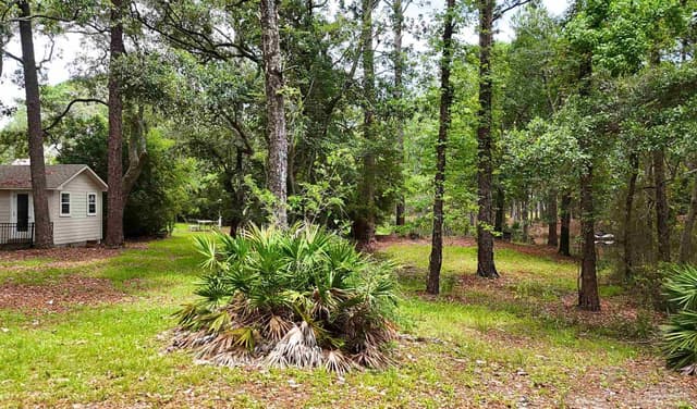769 Bear Creek Ct, Gulf Shores AL 36542 photo 31