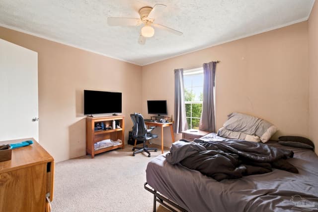 439 Woodpecker Ln, Holt FL 32564 photo 19