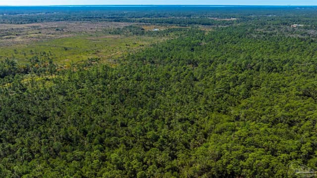 0000 Sandy Pt St, Milton FL 32583 photo 11