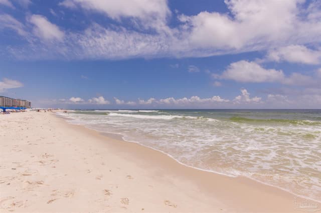 13621 Perdido Key Dr # 1102E, Perdido Key FL 32507 photo 2