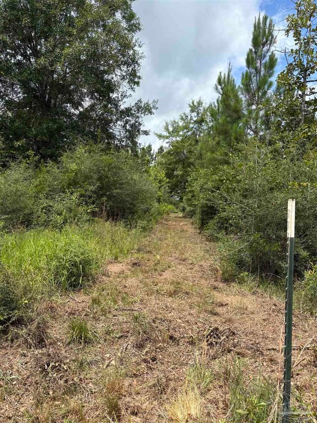 2800 BLK Velor Rd, Mcdavid FL 32568 exterior