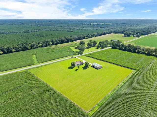 4131 Gobbler Rd, Walnut Hill FL 32535 photo 67