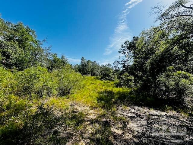 4195 Whippoorwill Dr, Holt FL 32564 photo 13