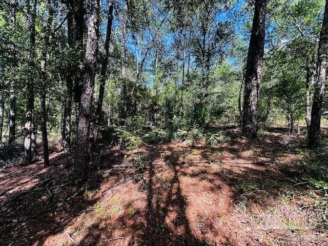4195 Whippoorwill Dr, Holt FL 32564 photo 17
