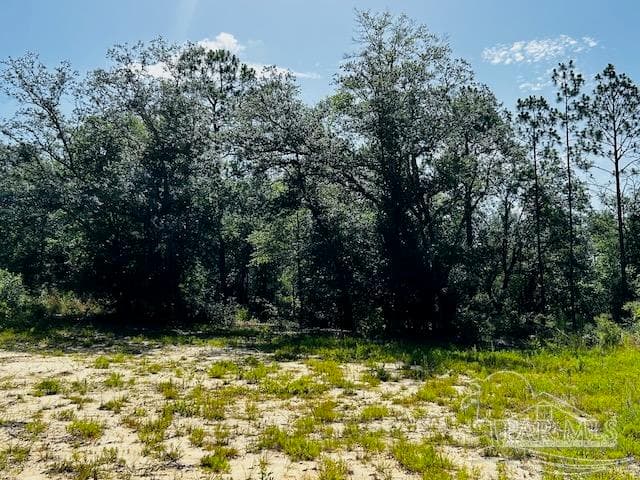4195 Whippoorwill Dr, Holt FL 32564 photo 11