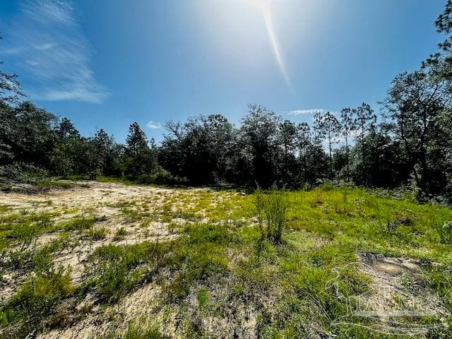 4195 Whippoorwill Dr, Holt FL 32564 photo 8