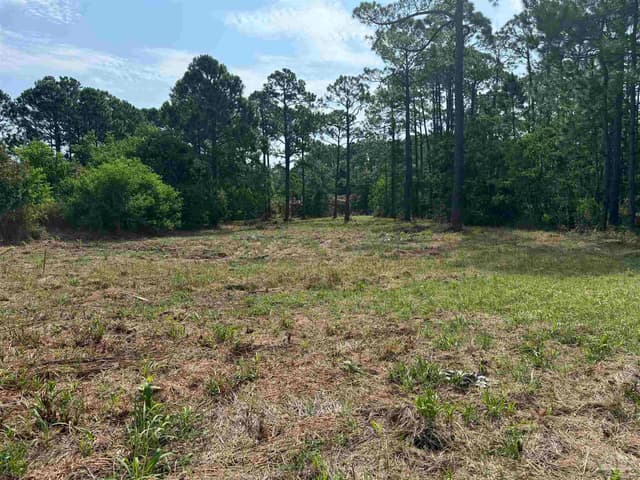 973 Dolphin Rd, Milton FL 32583 photo 12