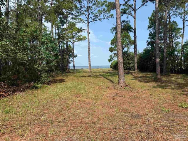 973 Dolphin Rd, Milton FL 32583 photo 9