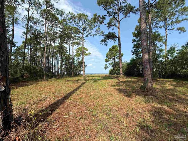 973 Dolphin Rd, Milton FL 32583 photo 15