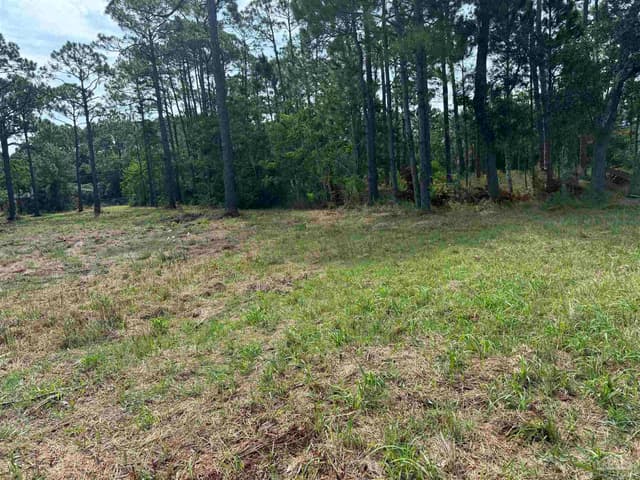 973 Dolphin Rd, Milton FL 32583 photo 11