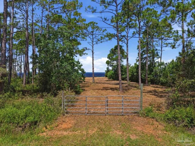 973 Dolphin Rd, Milton FL 32583 photo 8