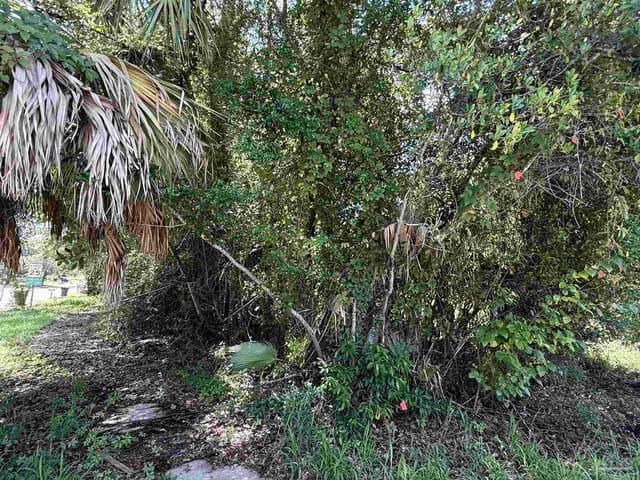 1420 N H St, Pensacola FL 32501 photo 6