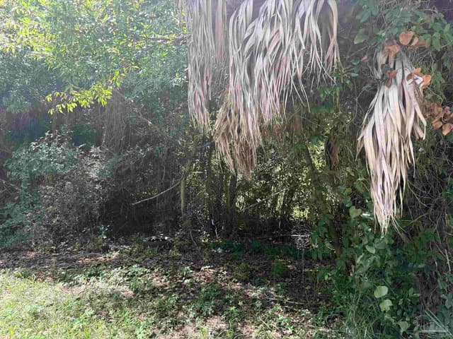 1420 N H St, Pensacola FL 32501 photo 7