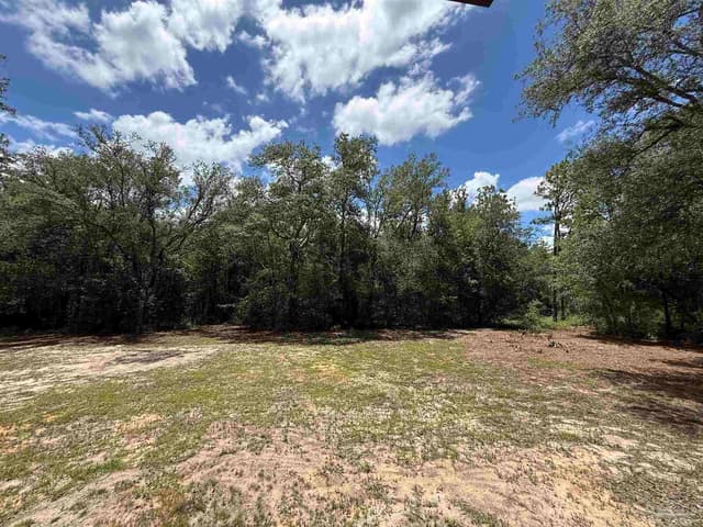 9140 Barney Broxson Rd, Milton FL 32583 photo 26