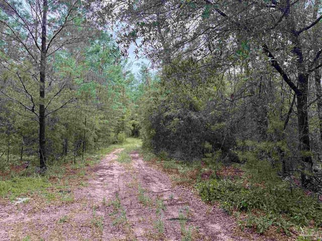 0 Kervin Rd, Crestview FL 32539 photo 8