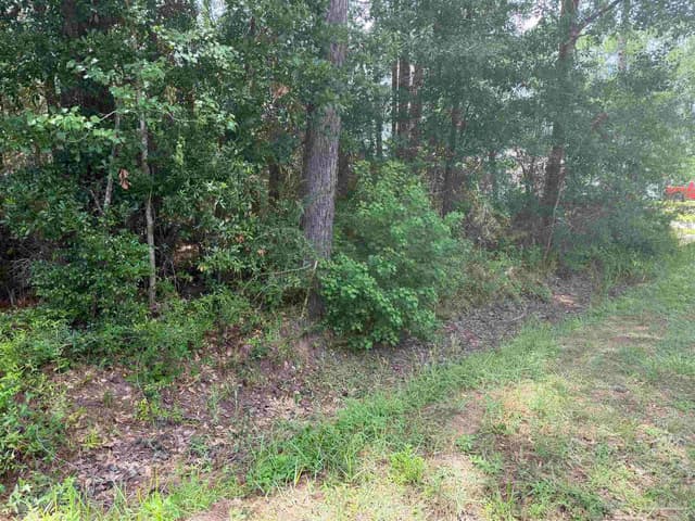 0 N 19th Ave, Milton FL 32583 photo 6