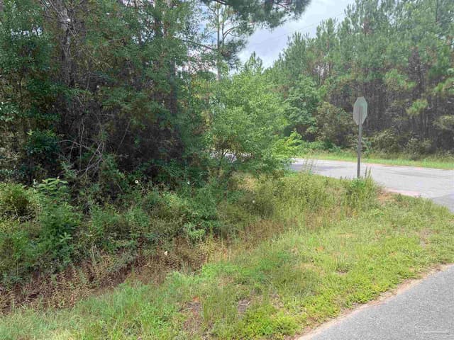 0 N 19th Ave, Milton FL 32583 photo 13