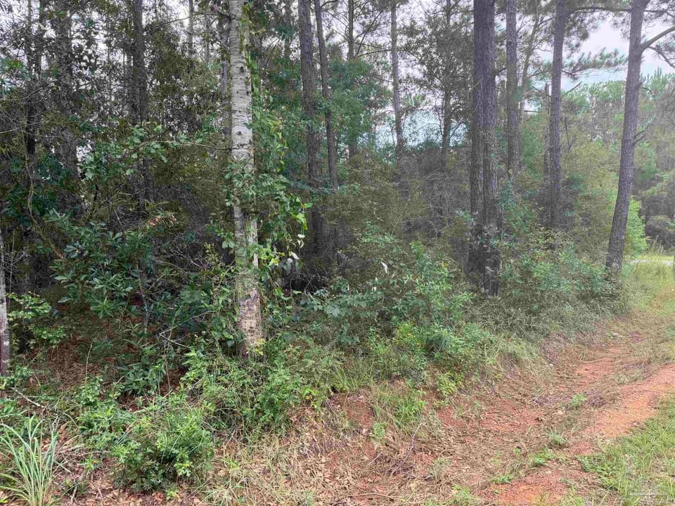 0 N 19th Ave, Milton FL 32583 photo 1