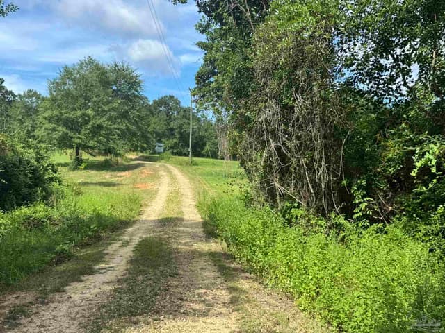 3470 Bell Fork Rd, Atmore AL 36502 photo 62