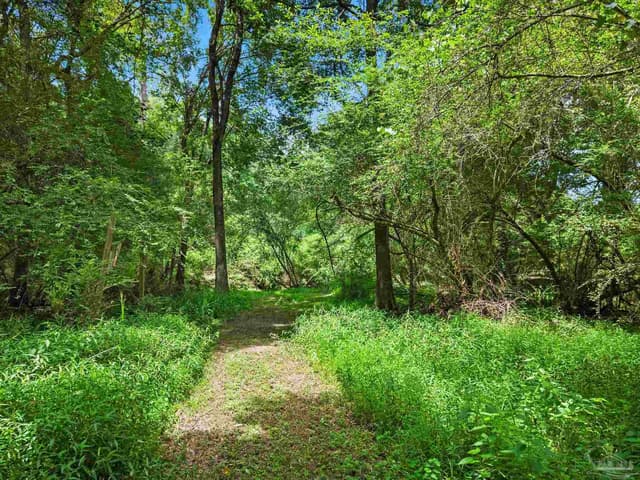 3470 Bell Fork Rd, Atmore AL 36502 photo 56