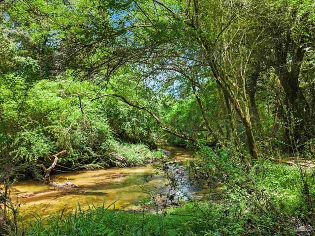 3470 Bell Fork Rd, Atmore AL 36502 photo 57