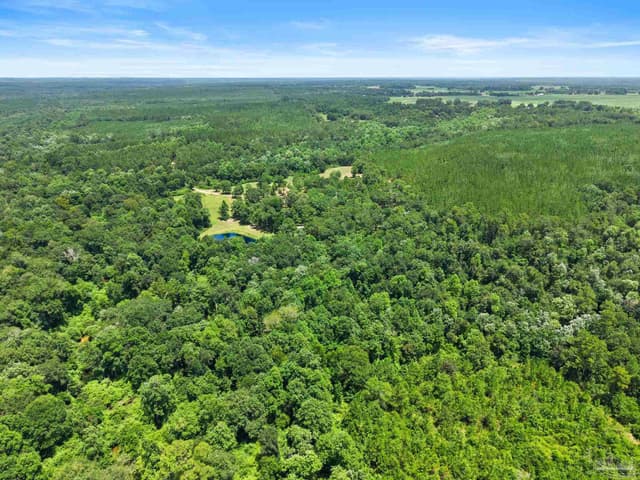 3470 Bell Fork Rd, Atmore AL 36502 photo 69