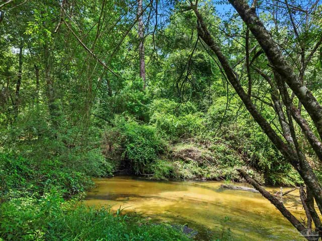 3470 Bell Fork Rd, Atmore AL 36502 photo 58