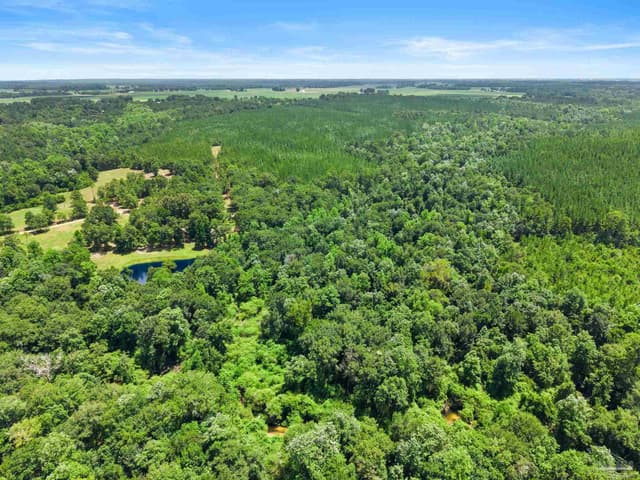 3470 Bell Fork Rd, Atmore AL 36502 photo 68