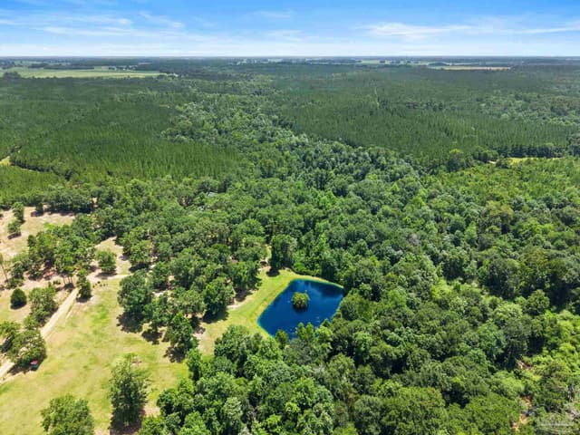 3470 Bell Fork Rd, Atmore AL 36502 photo 60