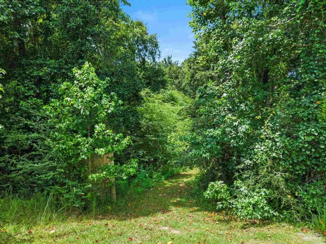 3470 Bell Fork Rd property photo