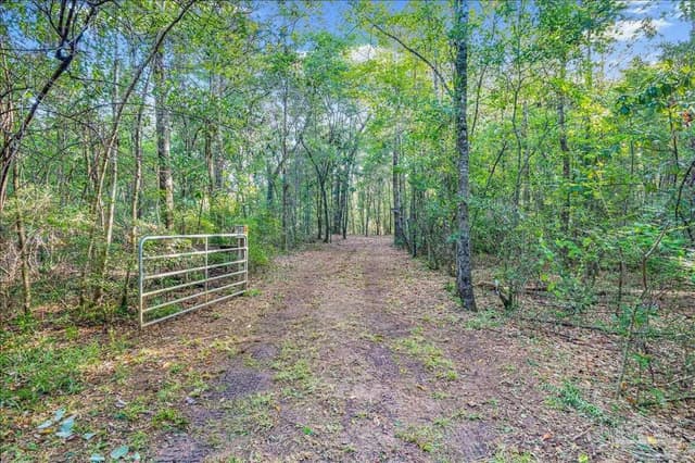 0000 Knight St, Bagdad FL 32570 photo 9