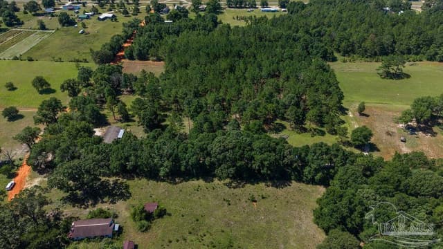 6885 Dora Lee Killam Rd, Century FL 32535 photo 47