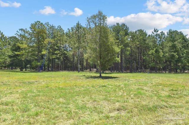 6885 Dora Lee Killam Rd, Century FL 32535 photo 36