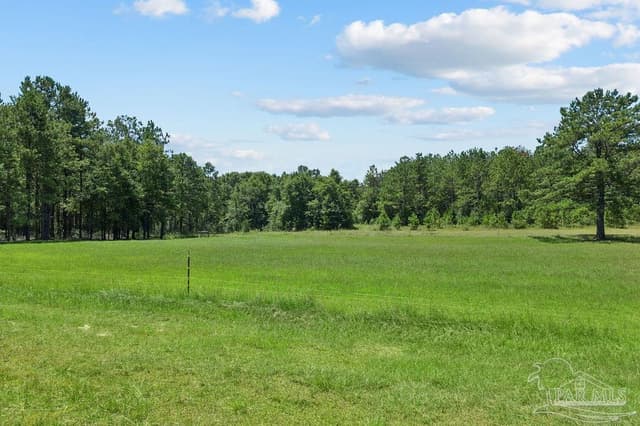 6885 Dora Lee Killam Rd, Century FL 32535 photo 38