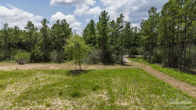 Lot 47 Naturewalk Dr, Pace FL 32571 photo 7