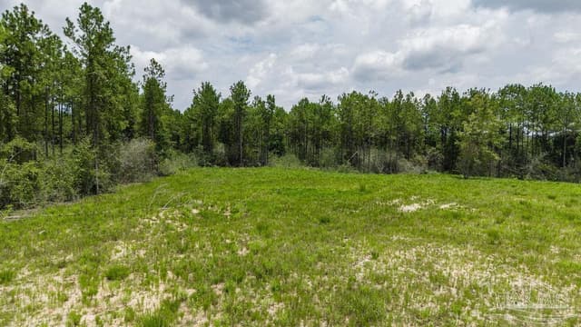 Lot 47 Naturewalk Dr, Pace FL 32571 photo 10