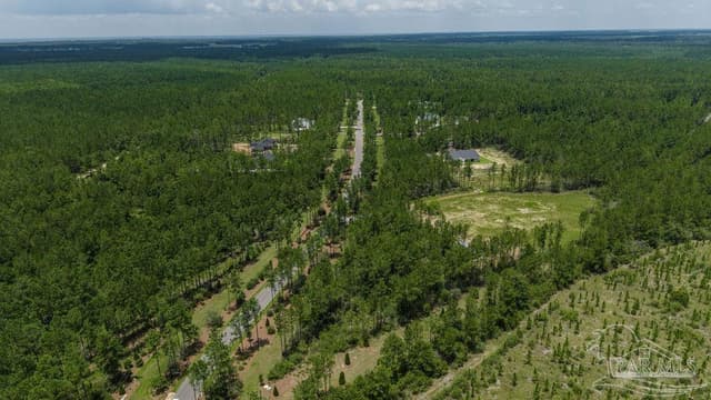 Lot 47 Naturewalk Dr, Pace FL 32571 photo 15