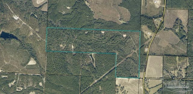 0000 Senterfitt Rd property photo