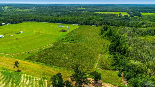 0 Pen Williams Rd, Defuniak Springs FL 32433 photo 6
