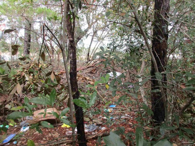 1848 Lindsey Magnolia Ct property photo