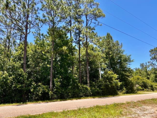 Lot 51 Mineral Springs Rd, Jay FL 32565 photo 6