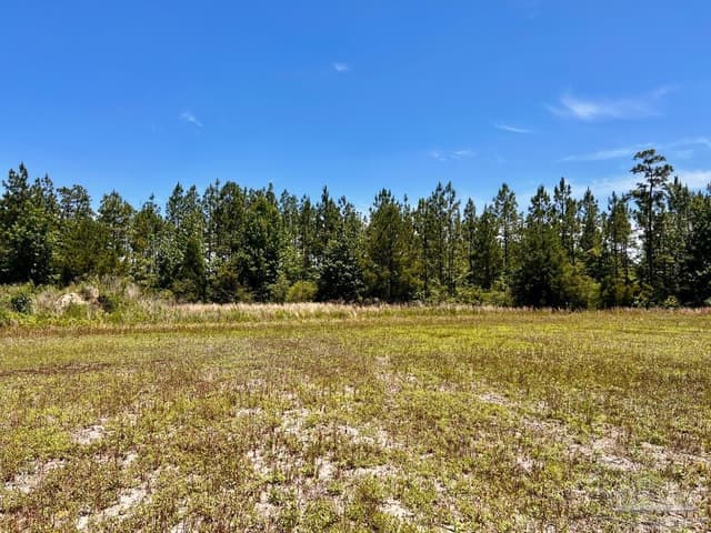 Lot 51 Mineral Springs Rd, Jay FL 32565 photo 13