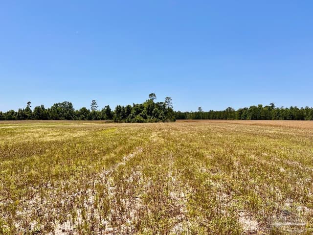 Lot 51 Mineral Springs Rd, Jay FL 32565 photo 12