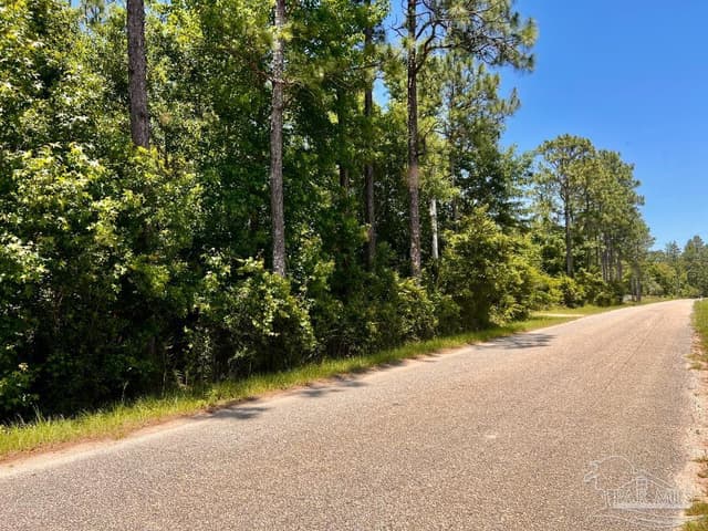 Lot 51 Mineral Springs Rd, Jay FL 32565 photo 7