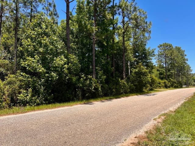 Lot 51 Mineral Springs Rd property photo