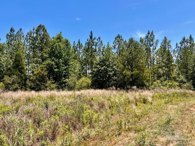 Lot 51 Mineral Springs Rd, Jay FL 32565 photo 9