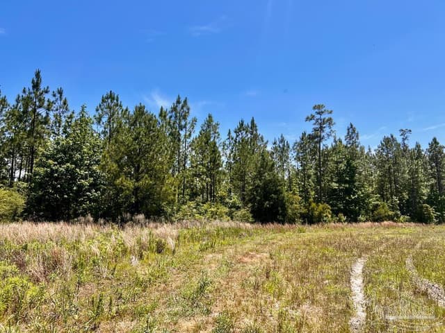 Lot 51 Mineral Springs Rd, Jay FL 32565 photo 10