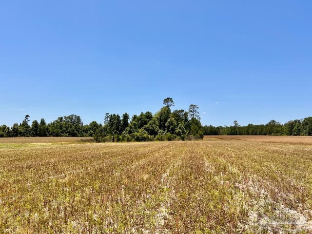 Lot 51 Mineral Springs Rd, Jay FL 32565 photo 14