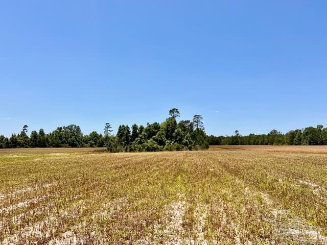Lot 51 Mineral Springs Rd, Jay FL 32565 photo 11